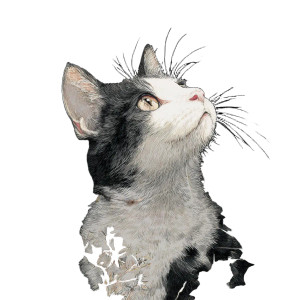 Cat V238 Vinyl Car Decal Sticker – Waterproof & UV-Resistant 6.826666666666667" Cat V238 Vinyl Car Decal Sticker – Waterproof & UV-Resistant 6.826666666666667"
