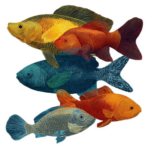 Swimming Fish Drawings Vinyl Car Decal Sticker – Waterproof & UV-Resistant 3.4133333333333336"