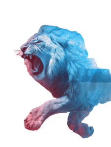 Israeli Lion Roaring Vinyl Car Decal Sticker – Waterproof & UV-Resistant 4.1066666666666665"