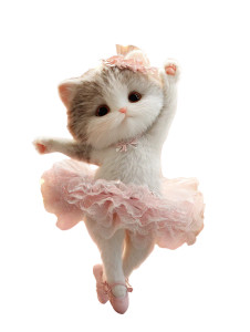 Ballerina Kitten Vinyl Car Decal Sticker – Waterproof & UV-Resistant 8.213333333333333"