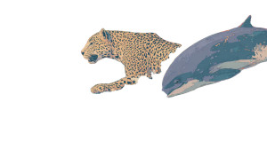 Leopard Dolphin Dance Vinyl Car Decal Sticker – Waterproof & UV-Resistant 5.4