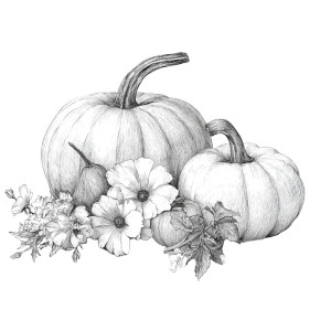 Fall Harvest Sketch Vinyl Car Decal Sticker – Waterproof & UV-Resistant 6.826666666666667"