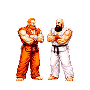 Street Fighter Duel V8 Vinyl Car Decal Sticker – Waterproof & UV-Resistant 6.826666666666667"