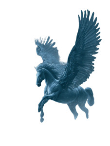 Pegasus Ascending Vinyl Car Decal Sticker – Waterproof & UV-Resistant 8.213333333333333"