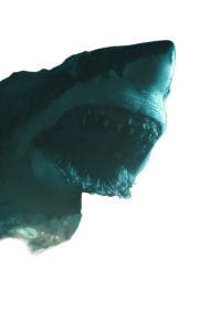 Giant Shark Battle Vinyl Car Decal Sticker – Waterproof & UV-Resistant 4.4