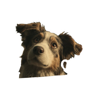 Cute Listening Dog Vinyl Car Decal Sticker – Waterproof & UV-Resistant 3.4133333333333336" Cute Listening Dog Vinyl Car Decal Sticker – Waterproof & UV-Resistant 3.4133333333333336"