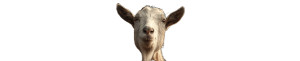 Farmhouse Goat Vinyl Car Decal Sticker – Waterproof & UV-Resistant 1.6533333333333333" Farmhouse Goat Vinyl Car Decal Sticker – Waterproof & UV-Resistant 1.6533333333333333"