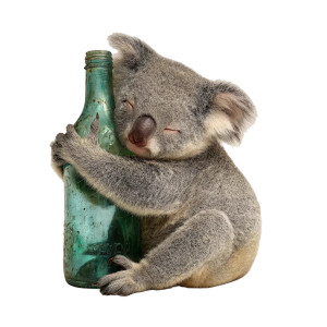 Sleeping Koala Hugging Bottle Vinyl Car Decal Sticker – Waterproof & UV-Resistant 3.4133333333333336"