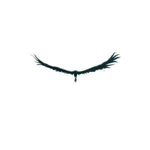 Dark Winged Figure V3 Vinyl Car Decal Sticker – Waterproof & UV-Resistant 3.4133333333333336" Dark Winged Figure V3 Vinyl Car Decal Sticker – Waterproof & UV-Resistant 3.4133333333333336"