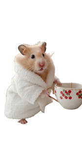 Fluffy Hamster Barista Vinyl Car Decal Sticker – Waterproof & UV-Resistant 9.706666666666667"