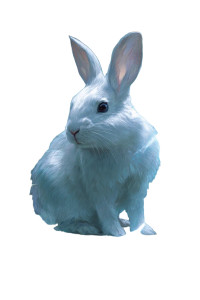 Illusionary Rabbit Vinyl Car Decal Sticker – Waterproof & UV-Resistant 4.4 Illusionary Rabbit Vinyl Car Decal Sticker – Waterproof & UV-Resistant 4.4
