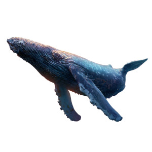 Cosmic Humpback Whale V2 Vinyl Car Decal Sticker – Waterproof & UV-Resistant 3.4133333333333336"