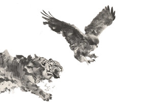 Majestic Hawk Soaring Vinyl Car Decal Sticker – Waterproof & UV-Resistant 3.0933333333333333"