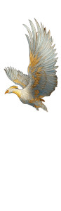 Phoenix In Flight V4 Vinyl Car Decal Sticker – Waterproof & UV-Resistant 6.826666666666667" Phoenix In Flight V4 Vinyl Car Decal Sticker – Waterproof & UV-Resistant 6.826666666666667"