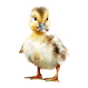 Clumsy Brown Duckling Vinyl Car Decal Sticker – Waterproof & UV-Resistant 3.4133333333333336"