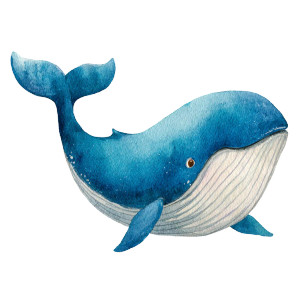 Smiling Whale Illustration Vinyl Car Decal Sticker – Waterproof & UV-Resistant 3.4133333333333336" Smiling Whale Illustration Vinyl Car Decal Sticker – Waterproof & UV-Resistant 3.4133333333333336"