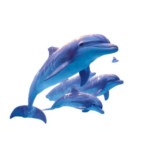 Dolphin Family Swim Vinyl Car Decal Sticker – Waterproof & UV-Resistant 3.4133333333333336"
