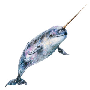 Realistic Narwhal Vinyl Car Decal Sticker – Waterproof & UV-Resistant 6.826666666666667"