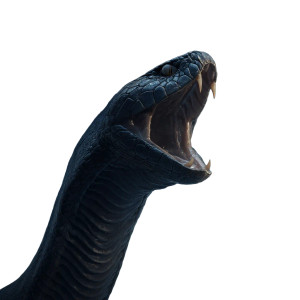 Gigantic Space Snake Vinyl Car Decal Sticker – Waterproof & UV-Resistant 3.4133333333333336"