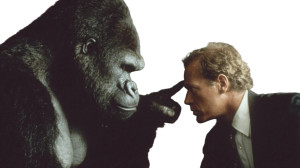 Gorilla Reaches Forehead Vinyl Car Decal Sticker – Waterproof & UV-Resistant 2.72"