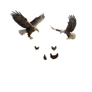 Majestic Eagles Soaring Vinyl Car Decal Sticker – Waterproof & UV-Resistant 3.4133333333333336" Majestic Eagles Soaring Vinyl Car Decal Sticker – Waterproof & UV-Resistant 3.4133333333333336"