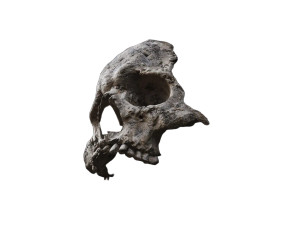 Rock Skull Cliff Vinyl Car Decal Sticker – Waterproof & UV-Resistant 6.1866666666666665"