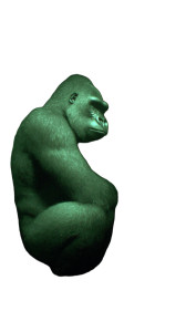 Cautious Gorilla Vinyl Car Decal Sticker – Waterproof & UV-Resistant 9.706666666666667" Cautious Gorilla Vinyl Car Decal Sticker – Waterproof & UV-Resistant 9.706666666666667"