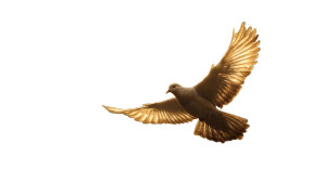 Golden Flying Dove Vinyl Car Decal Sticker – Waterproof & UV-Resistant 2.72"