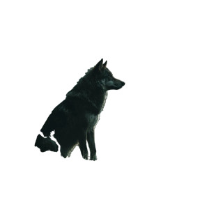 Lone Wolf V5 Vinyl Car Decal Sticker – Waterproof & UV-Resistant 3.4133333333333336" Lone Wolf V5 Vinyl Car Decal Sticker – Waterproof & UV-Resistant 3.4133333333333336"