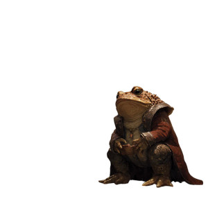 Fey Library Toad Vinyl Car Decal Sticker – Waterproof & UV-Resistant 6.826666666666667"