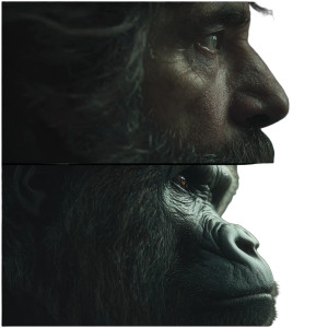 Man And Gorilla Vinyl Car Decal Sticker – Waterproof & UV-Resistant 3.4133333333333336"