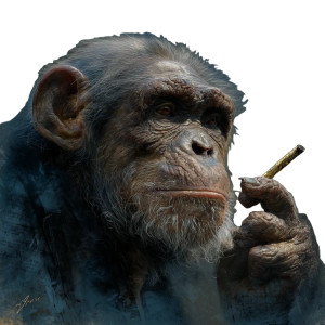 Old Monkey Vinyl Car Decal Sticker – Waterproof & UV-Resistant 3.4133333333333336" Old Monkey Vinyl Car Decal Sticker – Waterproof & UV-Resistant 3.4133333333333336"