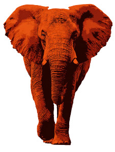African Elephant Silhouette Vinyl Car Decal Sticker – Waterproof & UV-Resistant 8.213333333333333" African Elephant Silhouette Vinyl Car Decal Sticker – Waterproof & UV-Resistant 8.213333333333333"