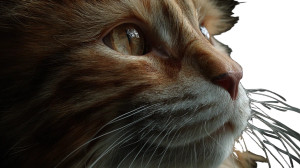 Ginger Cat V7 Vinyl Car Decal Sticker – Waterproof & UV-Resistant 5.4