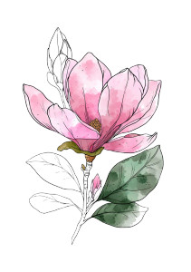 Pink Magnolia Tattoo Vinyl Car Decal Sticker – Waterproof & UV-Resistant 4.32"