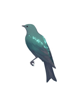 Iridescent Green Bird Vinyl Car Decal Sticker – Waterproof & UV-Resistant 4.213333333333333" Iridescent Green Bird Vinyl Car Decal Sticker – Waterproof & UV-Resistant 4.213333333333333"