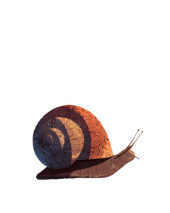 Melancholic Snail Dawn Vinyl Car Decal Sticker – Waterproof & UV-Resistant 4.0"
