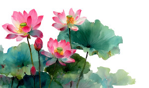 Pink Lotus Flowers V3 Vinyl Car Decal Sticker – Waterproof & UV-Resistant 2.8266666666666667" Pink Lotus Flowers V3 Vinyl Car Decal Sticker – Waterproof & UV-Resistant 2.8266666666666667"