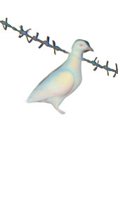 Iridescent Colombe Vinyl Car Decal Sticker – Waterproof & UV-Resistant 9.706666666666667"