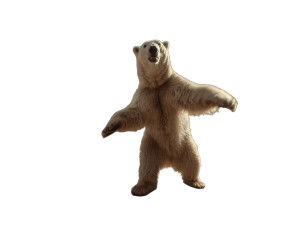 Dancing Polar Bear V2 Vinyl Car Decal Sticker – Waterproof & UV-Resistant 6.1866666666666665" Dancing Polar Bear V2 Vinyl Car Decal Sticker – Waterproof & UV-Resistant 6.1866666666666665"