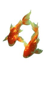 Goldfish In Lotus Lake Vinyl Car Decal Sticker – Waterproof & UV-Resistant 5.12" Goldfish In Lotus Lake Vinyl Car Decal Sticker – Waterproof & UV-Resistant 5.12"