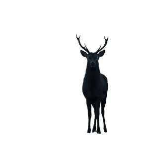 Black Deer Vinyl Car Decal Sticker – Waterproof & UV-Resistant 6.826666666666667"