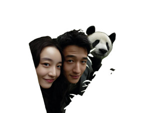 Panda Peek Selfie Vinyl Car Decal Sticker – Waterproof & UV-Resistant 6.1866666666666665" Panda Peek Selfie Vinyl Car Decal Sticker – Waterproof & UV-Resistant 6.1866666666666665"
