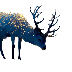 Deer V3 Vinyl Car Decal Sticker – Waterproof & UV-Resistant 6.826666666666667"