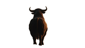 Majestic Bull Silhouette Vinyl Car Decal Sticker – Waterproof & UV-Resistant 2.72"