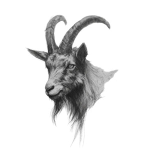 Gothic Ram Tattoo Vinyl Car Decal Sticker – Waterproof & UV-Resistant 3.4133333333333336" Gothic Ram Tattoo Vinyl Car Decal Sticker – Waterproof & UV-Resistant 3.4133333333333336"
