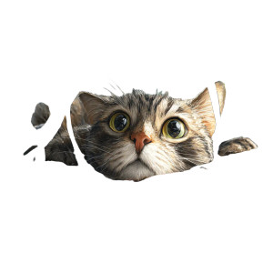 Tangled Cat Grin Vinyl Car Decal Sticker – Waterproof & UV-Resistant 3.4133333333333336"