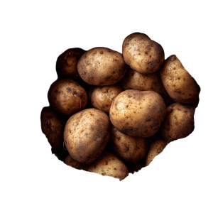 Sack Of Potatoes Vinyl Car Decal Sticker – Waterproof & UV-Resistant 3.4133333333333336" Sack Of Potatoes Vinyl Car Decal Sticker – Waterproof & UV-Resistant 3.4133333333333336"