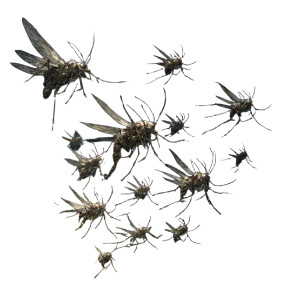 Blighted Mosquito Swarm Vinyl Car Decal Sticker – Waterproof & UV-Resistant 3.4133333333333336"