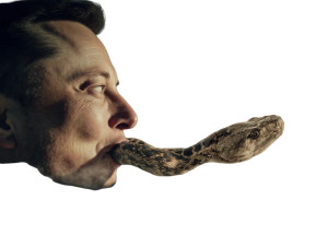 Musk Serpent Ouroboros Vinyl Car Decal Sticker – Waterproof & UV-Resistant 3.0933333333333333"